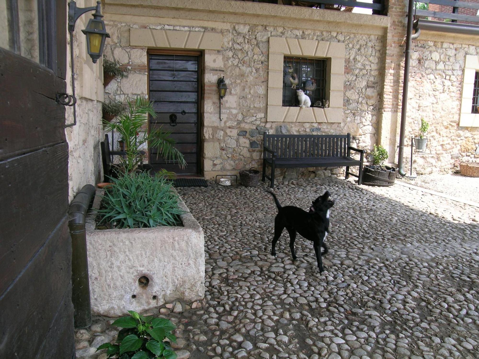 I Costanti Villa Caldiero Ngoại thất bức ảnh